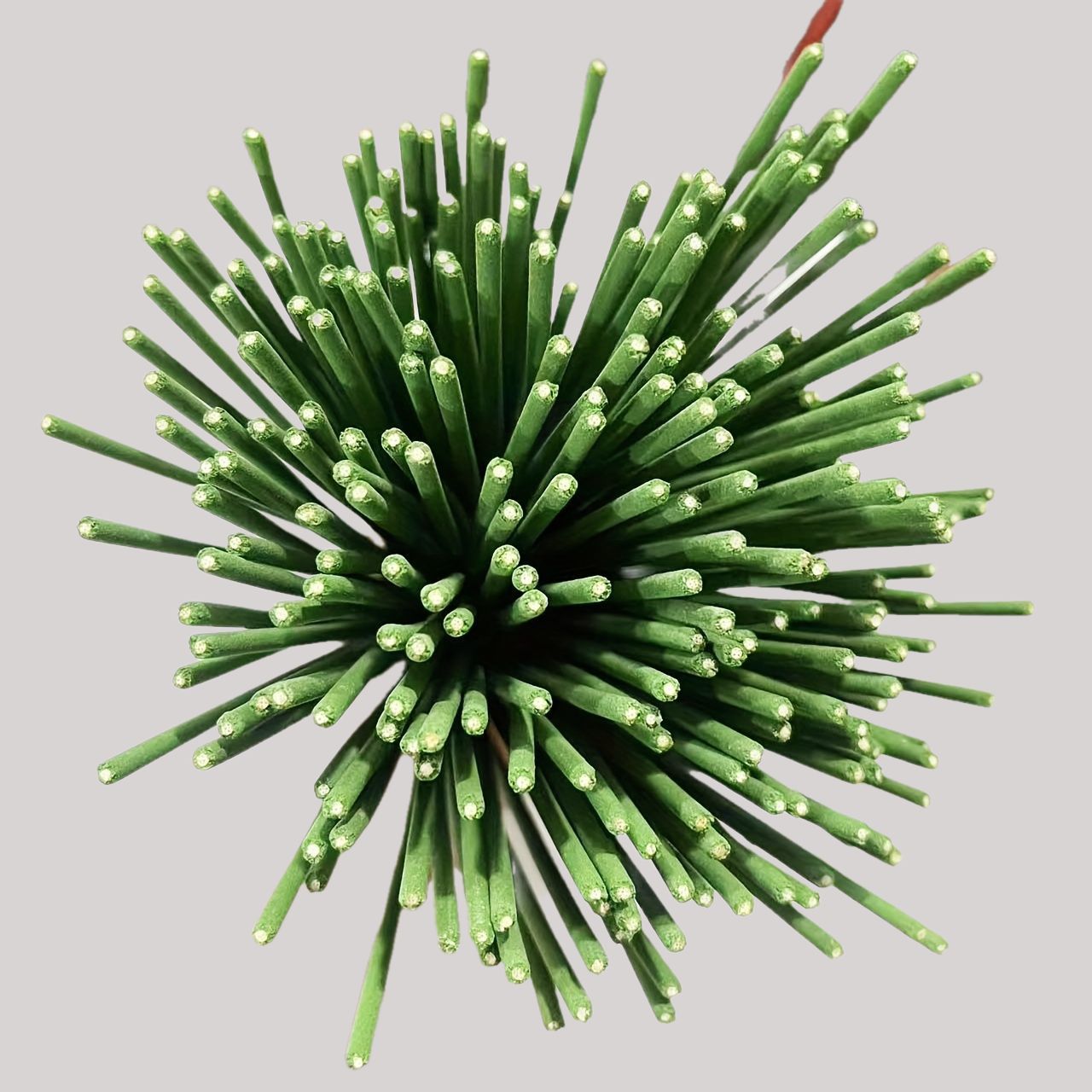 Reed Diffuser Sticks Lemongras - Home Fragrance Oud review and price